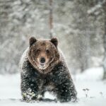 Can Workflow Automation Help Weather an Economic Winter?